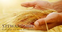 stewardship hands